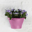 Corsica wall basket 25cm Vivid Violet