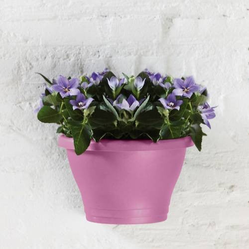Corsica wall basket 25cm Vivid Violet