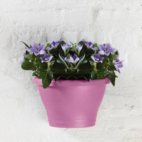 Corsica wall basket 25cm Vivid Violet