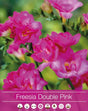 Freesia 'Double Pink' 5st