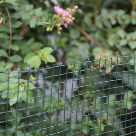 Skyddsnät Grön 5mx1m - 50mm