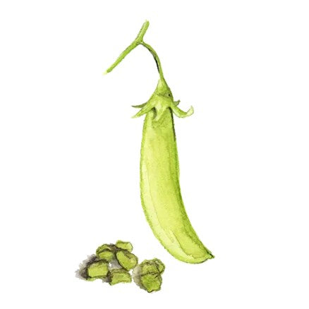 Märgärt 'Klenshyttan' GK Svenskodlat frö