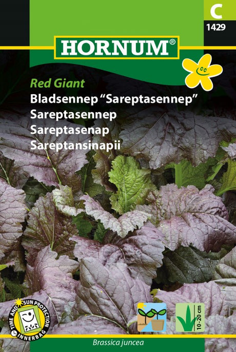 Asiatiskkål Bladsenap 'Red Giant'
