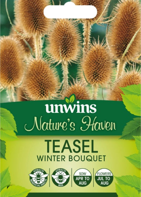 Kardvädd 'Winter Bouquet'