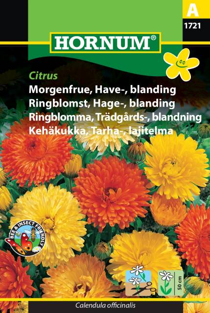 Ringblomma Mix 'Citrus' frö