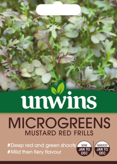 Microgreens 'Mustard Red Frills' Mix
