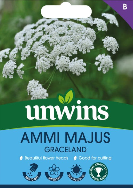 Slöjslilja 'Graceland'