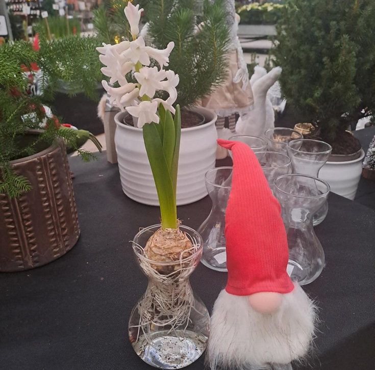 Hyacintvas Glas D6,7 H14