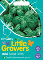 Little Growers Basilika 'Sweet'