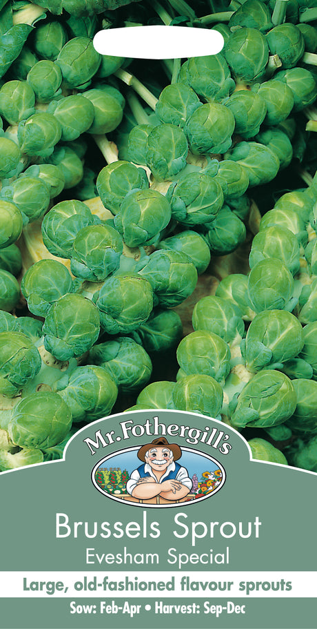 Brysselkål 'Evesham Special'