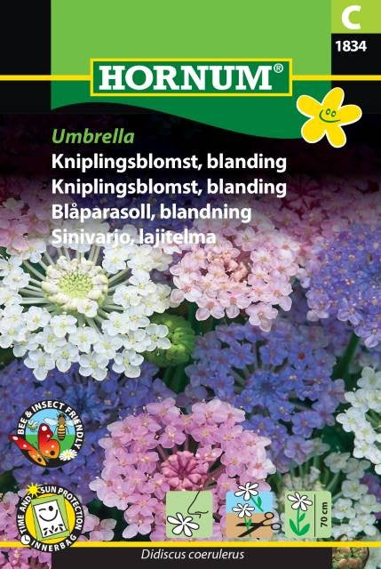 Blåparasoll 'Umbrella' Mix