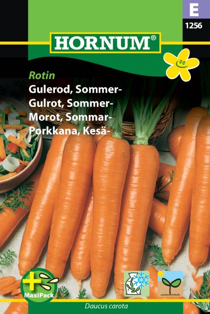 Sommarmorot 'Rotin' - Maxi pack