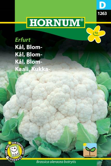 Blomkål 'Erfurt' frö