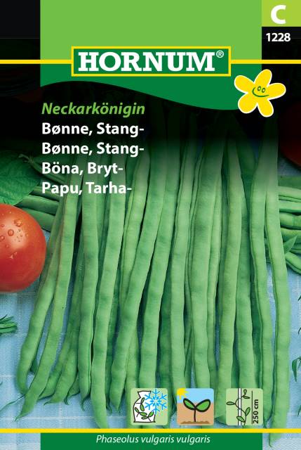Brytböna 'Neckarkönigin' frö