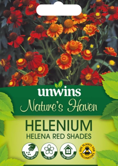 Trädgårdssolbrud 'Red Shades'