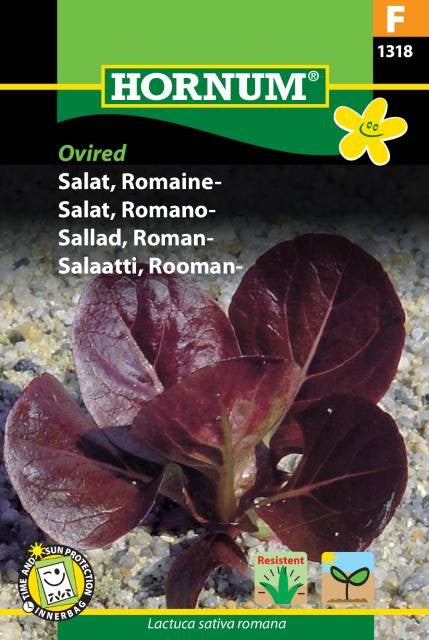 Romansallat 'Ovired'
