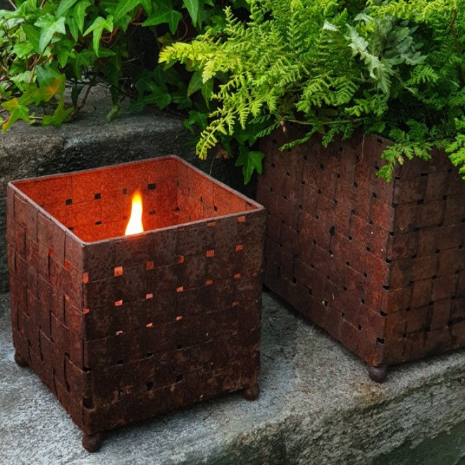 Marschallkruka 'Näver' Rost -Mellan