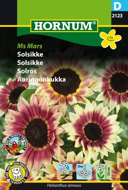 Solros 'Ms Mars'