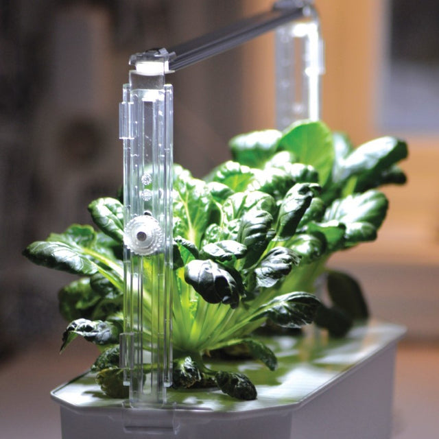 Växtbelysnings Hållare till 'Harvy 3'