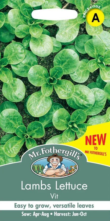 Machesallat Vintersallad