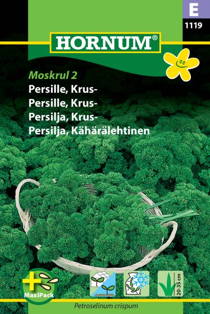 Krusbladig Persilja 'Moskrul 2' - Maxipack