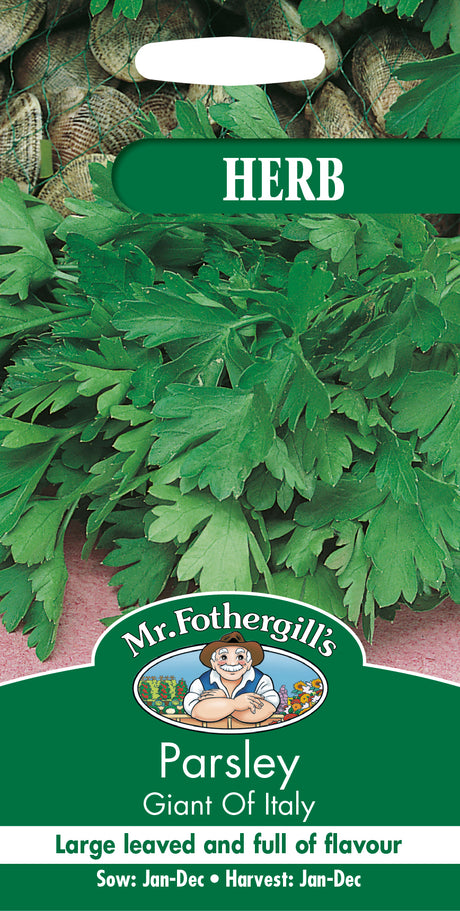 Persilja Slätbladig 'Giant of Italy'