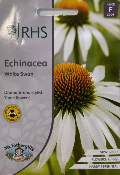 RHS Rudbeckia 'White Swan'