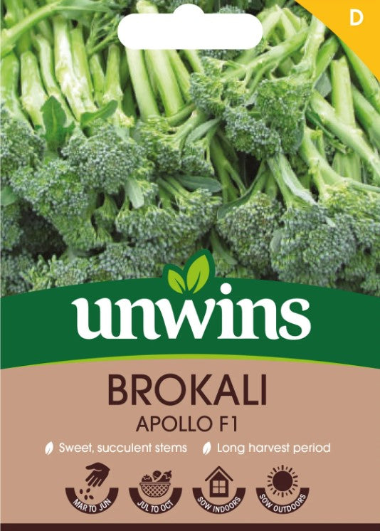 Broccoli 'Apollo F1'