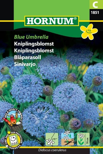 Blåparasoll 'Umbrella Blue'