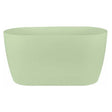 Brussels Orchid Duo 25cm Soft Green