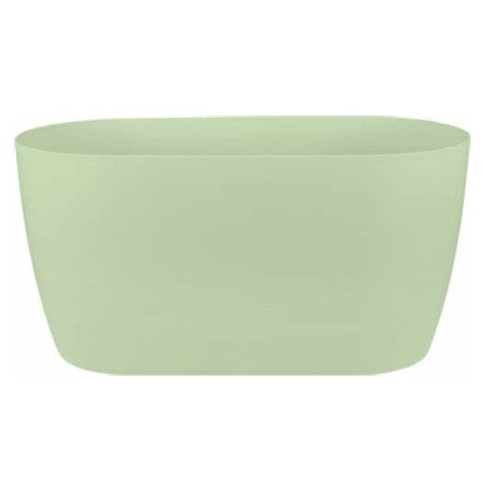 Brussels Orchid Duo 25cm Soft Green