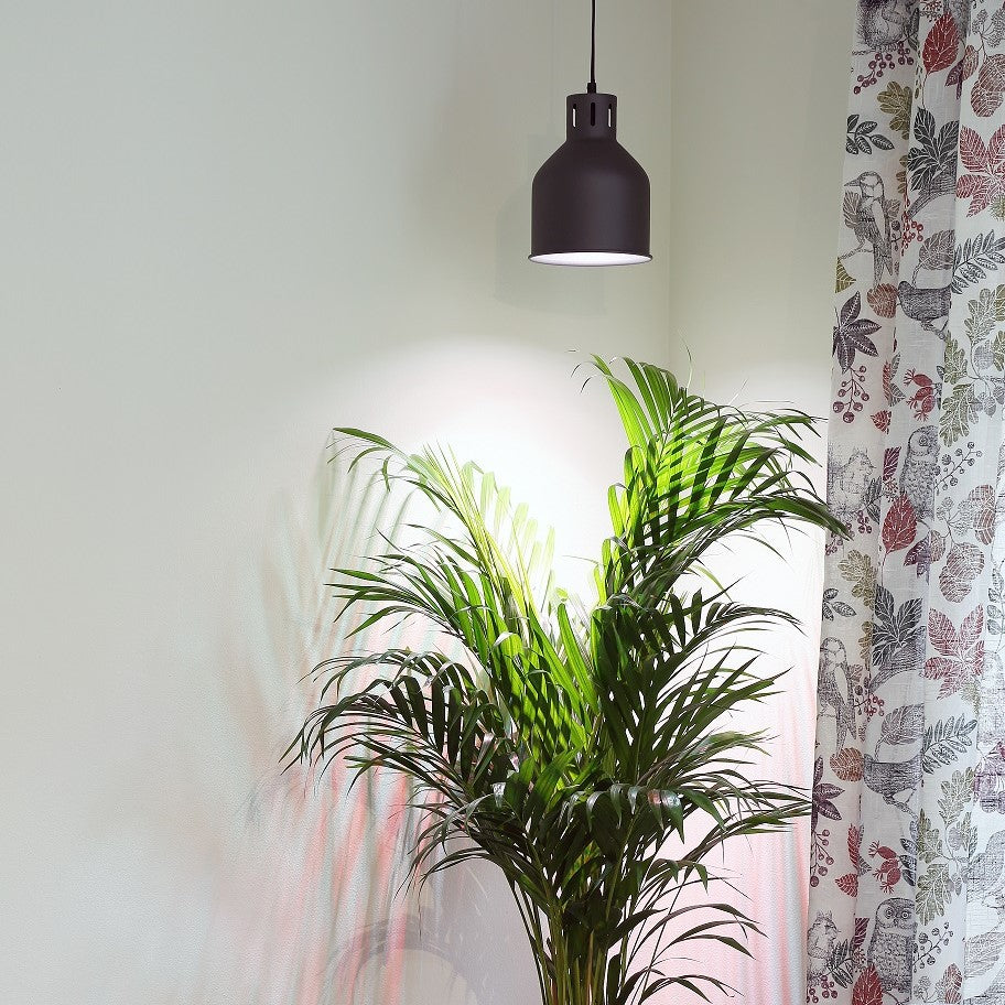 SAGA Växtarmatur för LEDlampor, Svart