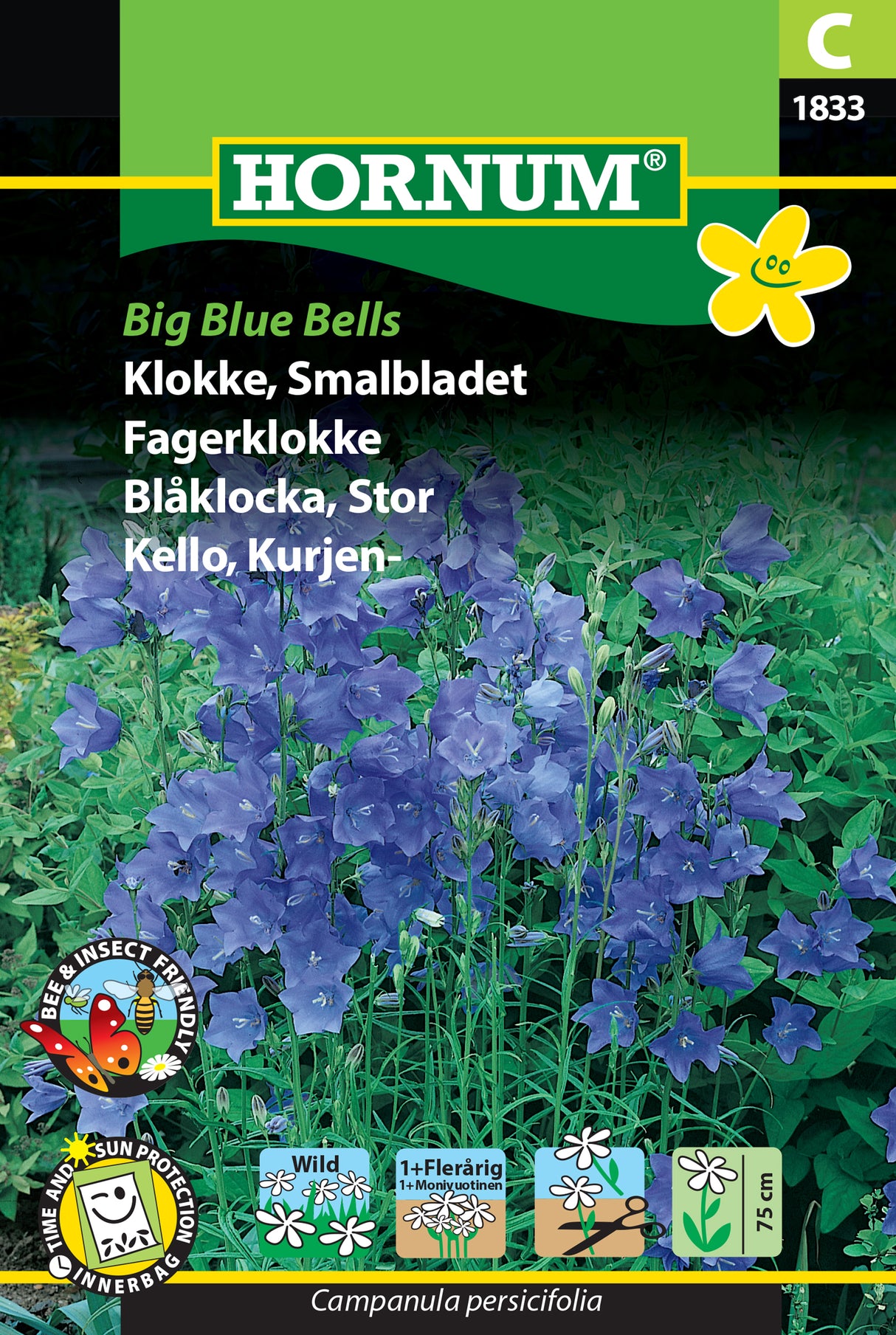 Blåklocka 'Big Blue Bells' frö