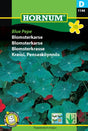 Blomsterkrasse 'Blue Pepe'