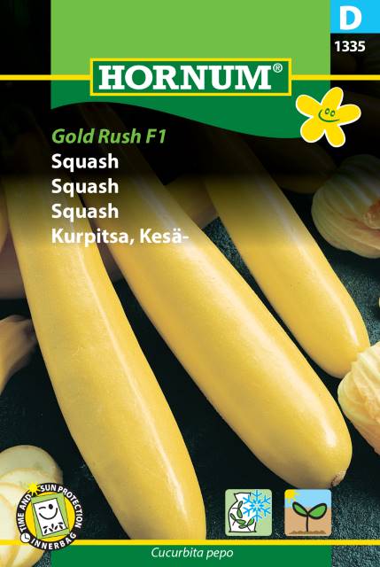 Squash 'Gold Rush' F1 frö