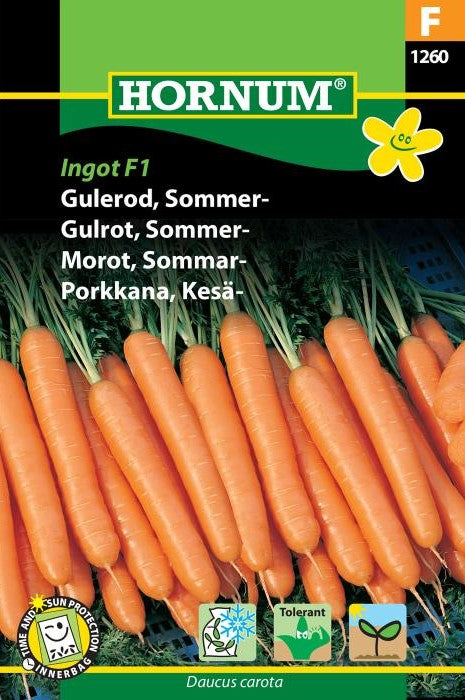 Sommarmorot 'Ingot' F1