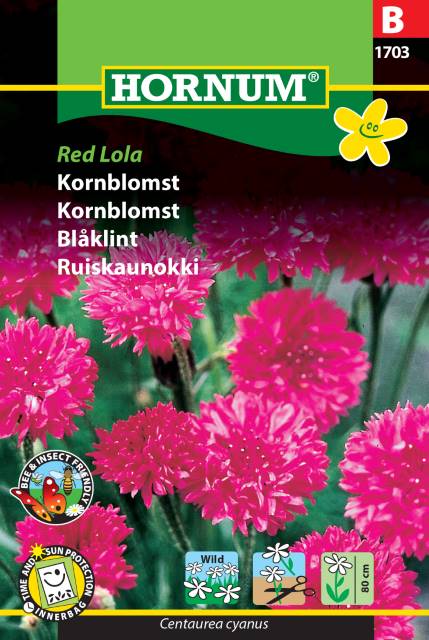 Blåklint 'Red Lola' frö