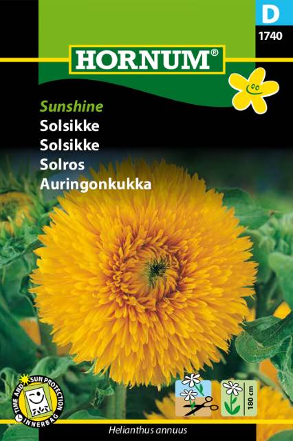 Solros 'Sunshine' frö