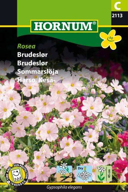 Brudslöja 'Rosea'
