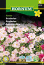 Brudslöja 'Rosea'