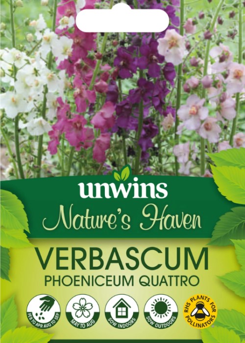 Violkungsljus 'Quattro' Mix