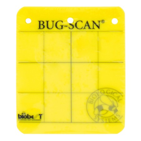 Klisterskiva Gul 40x25cm - 20st