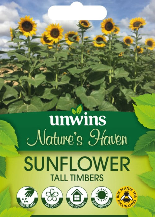 Jättesolros 'Tall Timbers'