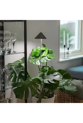 Sunlite växtlampa XL Grafitgrå - 25W