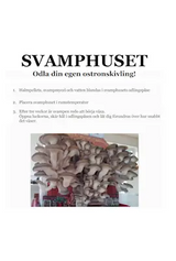 Svamphus Kungsmussling